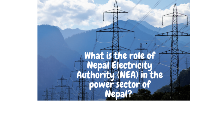 What is the role of Nepal Electricity Authority (NEA) in the power sector of Nepal?